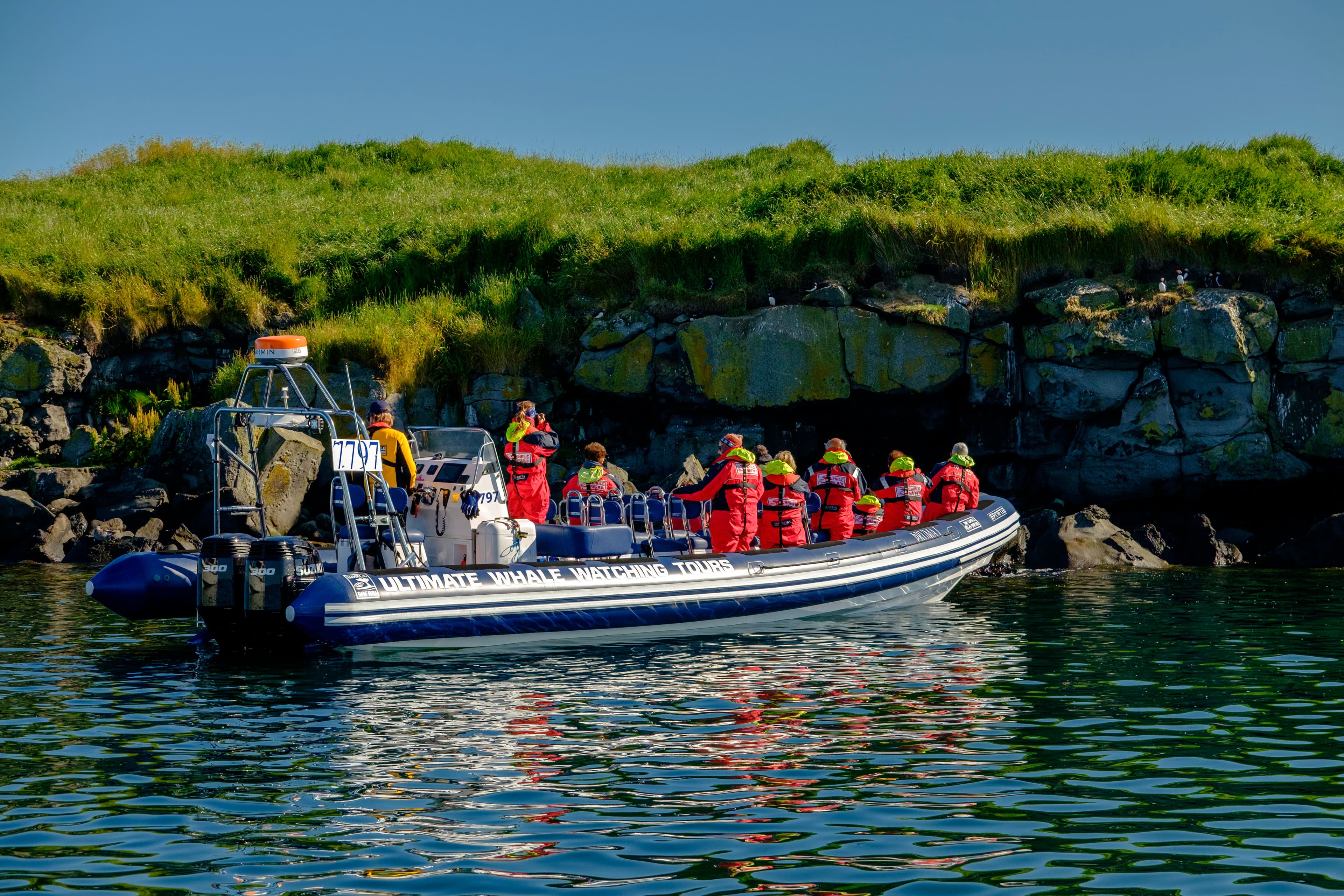 Product image for Express Puffin Tour from Reykjavik Harbour