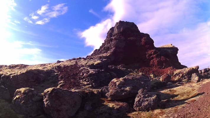Product image for 2 hour Horse Riding tour from Reykjavik